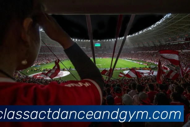 欧宝网页版平台生态图